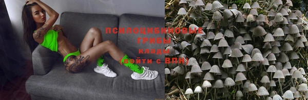 spice Балахна
