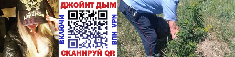 Каннабис Ganja  Купить закладки  Шали 